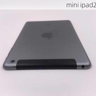 mini ipad2-第2张图片-模头数码科技网