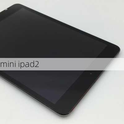 mini ipad2-第3张图片-模头数码科技网