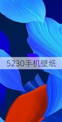 5230手机壁纸-第2张图片-模头数码科技网