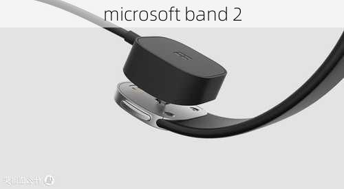 microsoft band 2-第2张图片-模头数码科技网