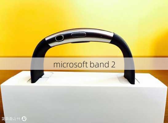 microsoft band 2-第3张图片-模头数码科技网