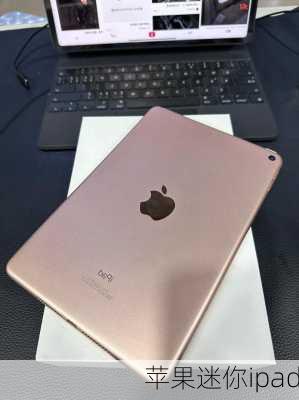 苹果迷你ipad-第2张图片-模头数码科技网