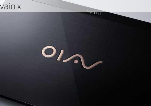 vaio x