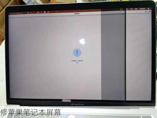 修苹果笔记本屏幕-第3张图片-模头数码科技网