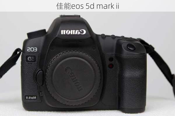 佳能eos 5d mark ii-第1张图片-模头数码科技网