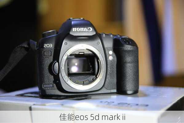 佳能eos 5d mark ii-第3张图片-模头数码科技网