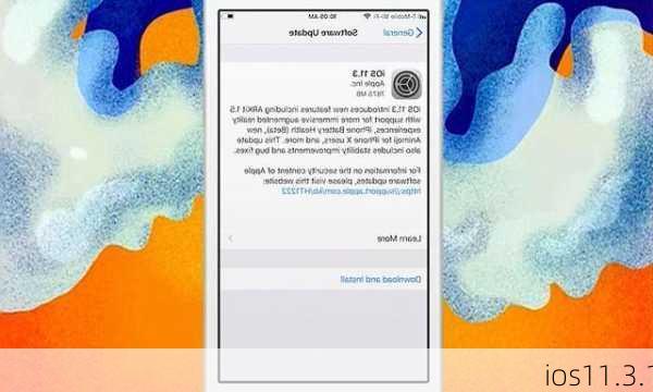 ios11.3.1-第2张图片-模头数码科技网