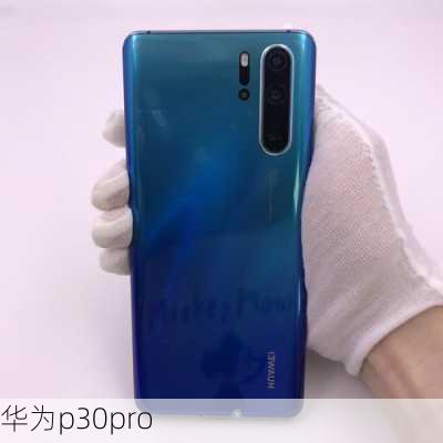 华为p30pro-第2张图片-模头数码科技网