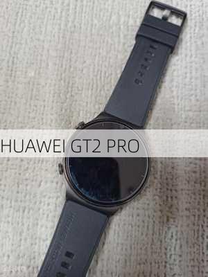 HUAWEI GT2 PRO-第1张图片-模头数码科技网