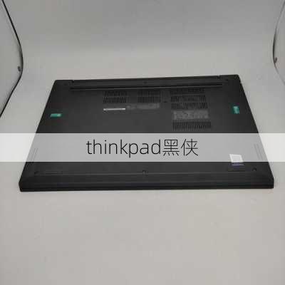 thinkpad黑侠-第3张图片-模头数码科技网