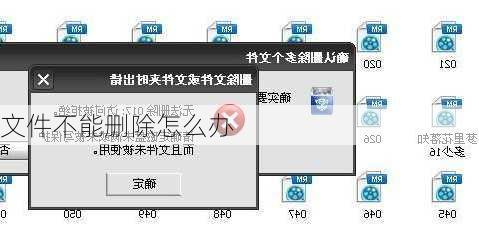 文件不能删除怎么办-第3张图片-模头数码科技网