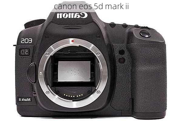 canon eos 5d mark ii-第3张图片-模头数码科技网