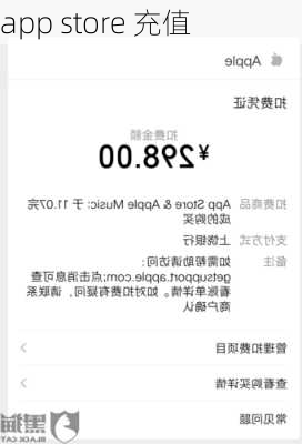 app store 充值-第1张图片-模头数码科技网