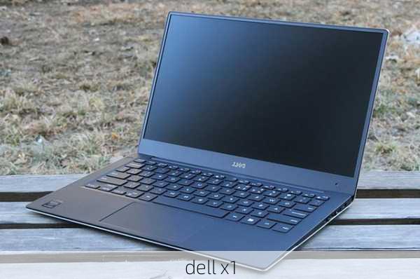 dell x1-第3张图片-模头数码科技网