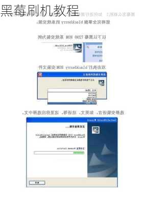 黑莓刷机教程-第3张图片-模头数码科技网