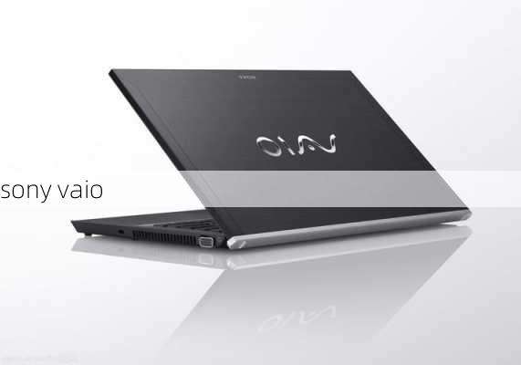 sony vaio-第1张图片-模头数码科技网