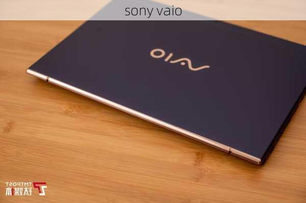 sony vaio-第2张图片-模头数码科技网