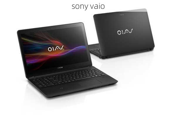 sony vaio-第3张图片-模头数码科技网