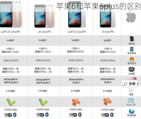 苹果6和苹果6plus的区别-第2张图片-模头数码科技网
