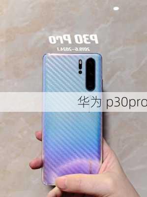 华为 p30pro-第1张图片-模头数码科技网