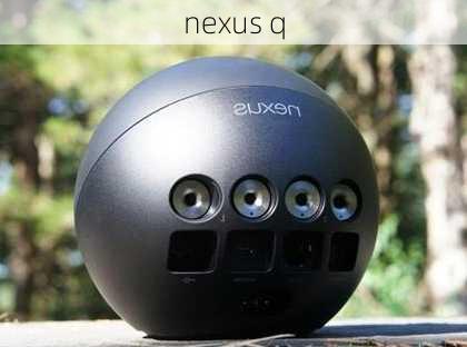 nexus q-第3张图片-模头数码科技网