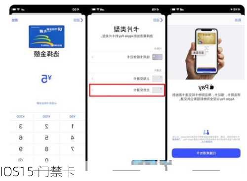 IOS15 门禁卡-第2张图片-模头数码科技网