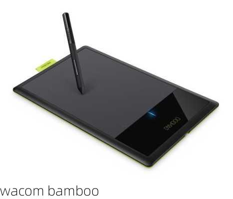 wacom bamboo-第1张图片-模头数码科技网