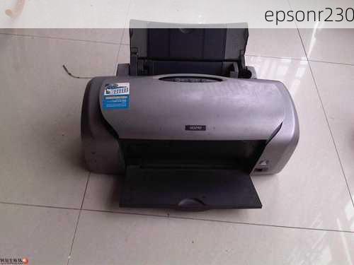 epsonr230-第1张图片-模头数码科技网