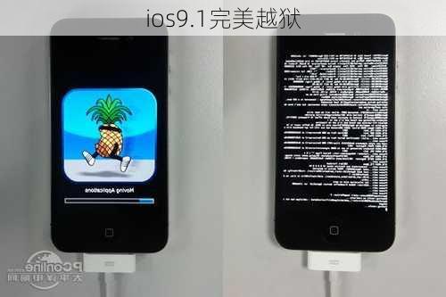 ios9.1完美越狱-第1张图片-模头数码科技网