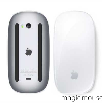 magic mouse-第2张图片-模头数码科技网