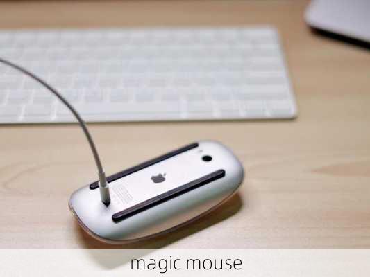 magic mouse-第1张图片-模头数码科技网