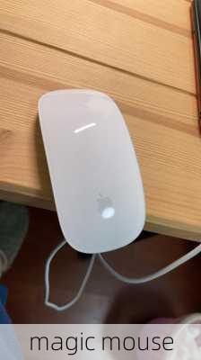 magic mouse-第3张图片-模头数码科技网