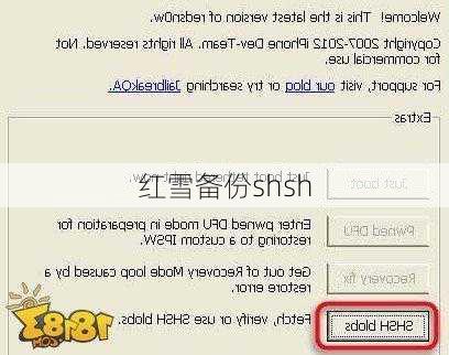 红雪备份shsh-第1张图片-模头数码科技网