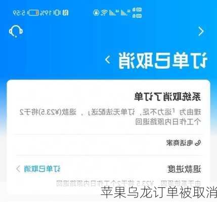 苹果乌龙订单被取消-第3张图片-模头数码科技网