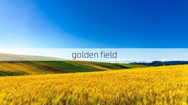 golden field-第1张图片-模头数码科技网