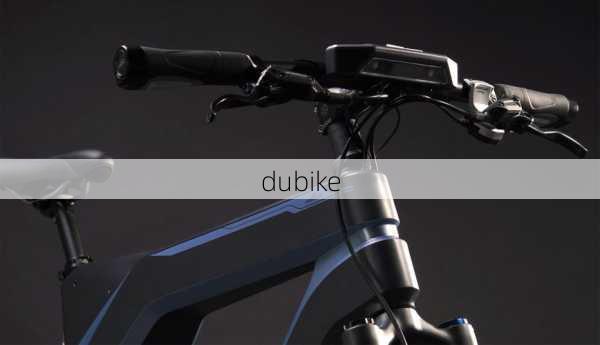 dubike-第2张图片-模头数码科技网