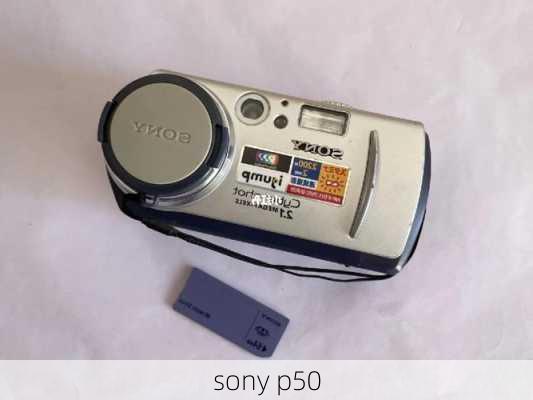 sony p50-第3张图片-模头数码科技网