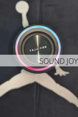 SOUND JOY-第3张图片-模头数码科技网