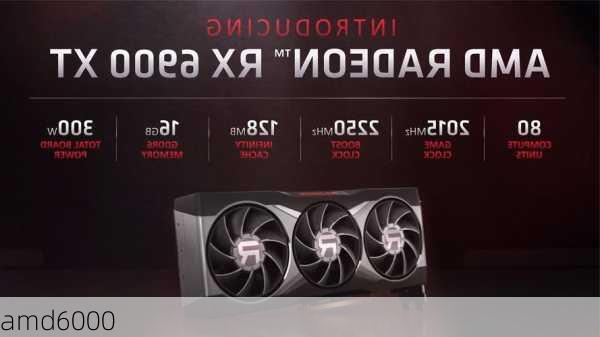 amd6000-第2张图片-模头数码科技网