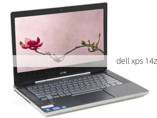 dell xps 14z-第2张图片-模头数码科技网