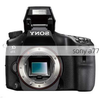 sony a77-第2张图片-模头数码科技网