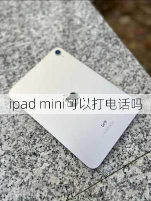 ipad mini可以打电话吗-第2张图片-模头数码科技网