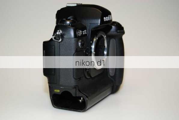 nikon d1-第1张图片-模头数码科技网