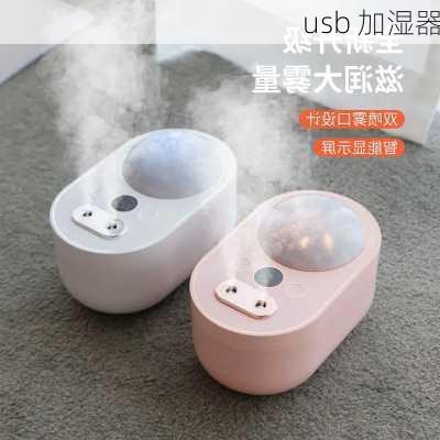 usb 加湿器-第2张图片-模头数码科技网