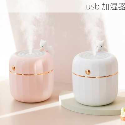 usb 加湿器-第3张图片-模头数码科技网