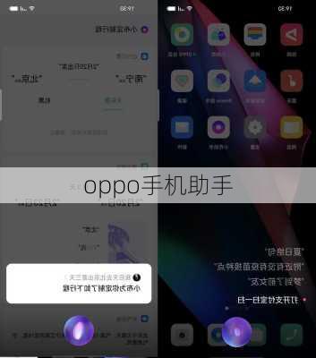 oppo手机助手-第3张图片-模头数码科技网