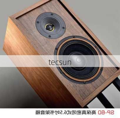 tecsun-第1张图片-模头数码科技网