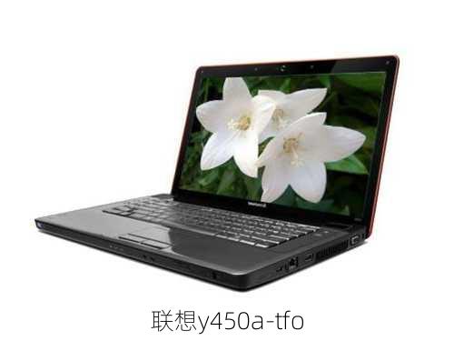 联想y450a-tfo-第1张图片-模头数码科技网