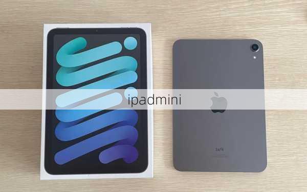 ipadmini