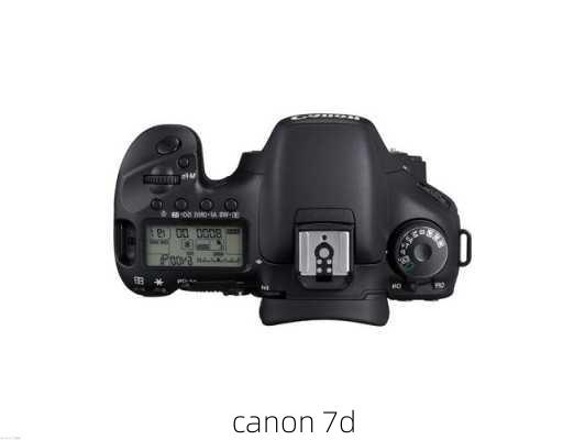 canon 7d-第2张图片-模头数码科技网